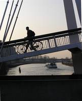 the bike bridge