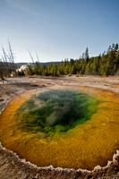 Thermal Yellowstone II