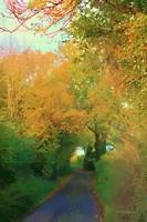 Autumn at Kibear lane