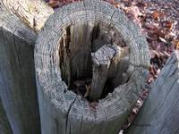 Top of Weathered Wood Fence...