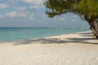 Cayman Islands : Seven Mile Beach Mornings