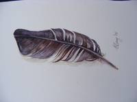 feather 3