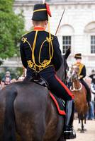 King's Troop Royal Horse Artillery