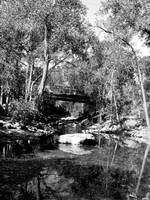 Reflective Boulder Creek