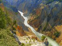 Grand Canyon Of  The Yellowstone River Wyoming