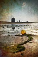 Buoy on a Low Tide with Textures