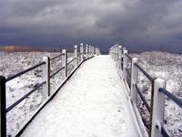 Snowy walkway