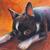 Coy Boston Terrier painting