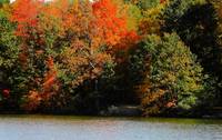 Autumn Lakeside