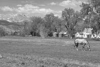 Scenic View Hygiene CO Boulder County BW