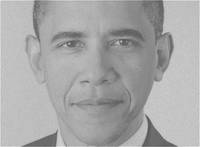 Barack Obama Reaction and Diffusion Pattern