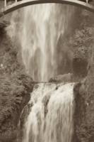 Multnomah Falls 7