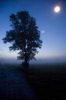 Moonlit dawn