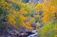 Colorado Rocky Mountain Autumn Canyon View