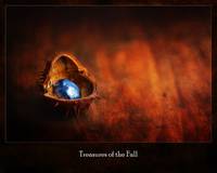 Treasures of the Fall