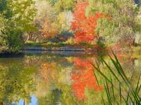 Photography Art Of Autumn Season Colors