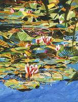 Water Lilies Giverny
