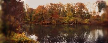 Pond in a park Central Park Manhattan New York Ci