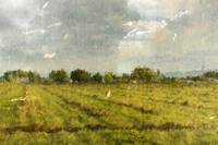 Hay Fields in September