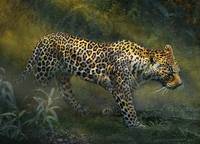 silent passing leopard jungle path
