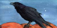 Raven In Autumn