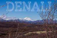 View of Denali from Denali National Park