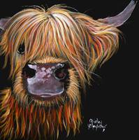Scottish Highland Cow 'HENRY' By Shirley MacArthur