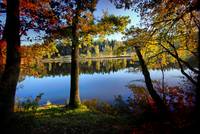 Fall at Pond