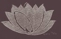Lotus of Yin4