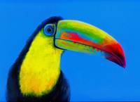 Keel Billed Toucan Acrylic Painting