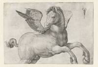 Pegasus, Jacopo de 'Barbari, 1509 - 1516