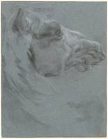 Head of a horse, Francesco Giuseppe Casanova, 1737