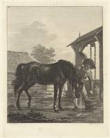 Man shows a horse drinking from a bucket, Joannes