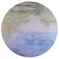 Claude Monet Painting Framed Print