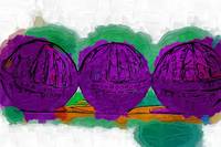 The Purple Balls