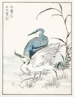 Heron and Egret by Numata Kashu