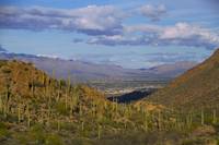 Tucson from Gates Pass 0593