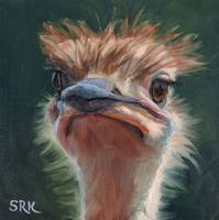 Portrait of an Ostrich