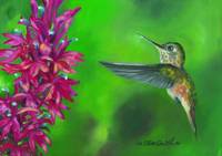 Hummingbird2 by Lee Ellen Smith