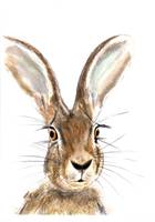 Hare / Rabbit Cute Watercolor Character