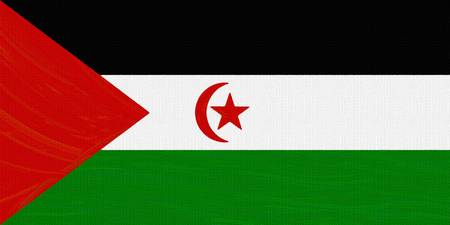 Flag of Western Sahara ,  County Flag Painting ca