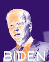 Portrait of President Joe Biden Poster 2