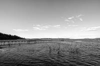 BW One Day at the Estuary 2