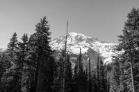 BW Mount Rainier PNW Washington