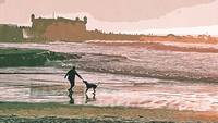 Beach, Man, Dog, Silhouette, Castle
