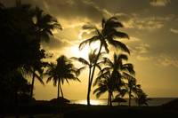Paradise Dreams - Sunset Hawaii