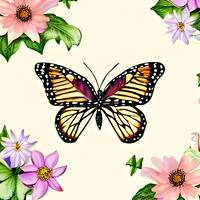 Butterfly and flowers 2