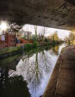 Hackney Canal 2