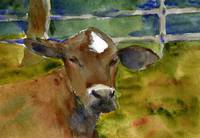Brown Cow, Watercolor Painting Bovine Country Farm