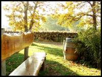 Winery Bench